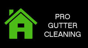 leads gutter cleaning