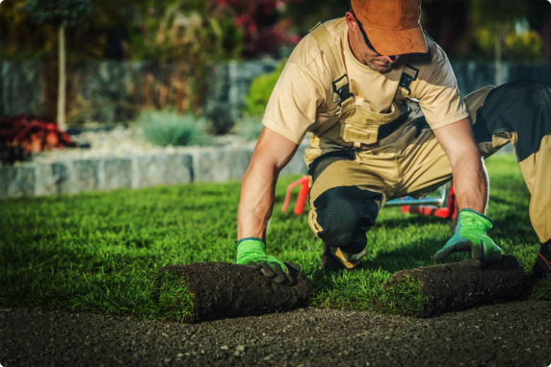 landscaping services ct