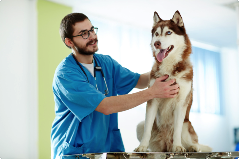 pet care services leads