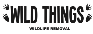 seo wildlife removals 2